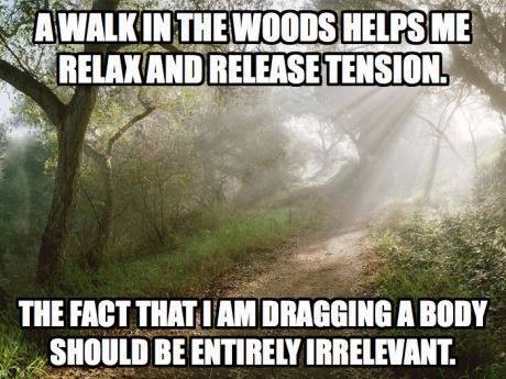 A walk in the woods.jpg