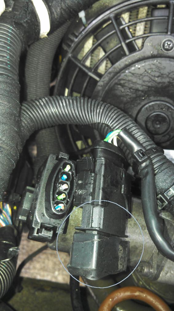 Did Somebody Disable My Egr Valve? Operation and Maintenance 450 Model, 20052006, diesel