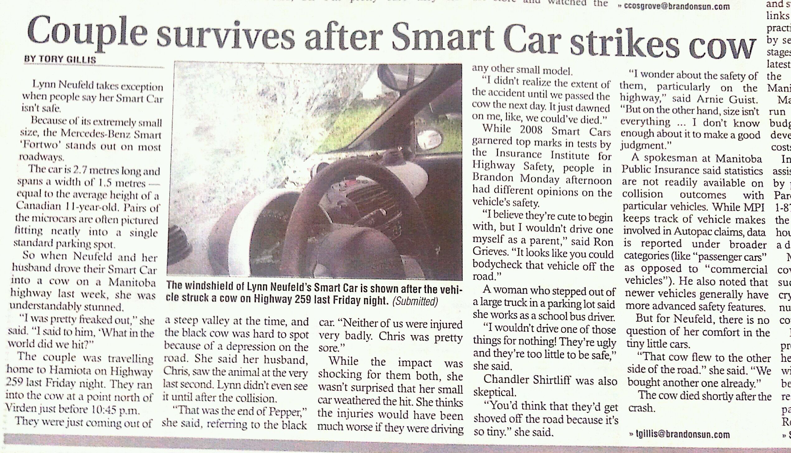 Smart vs Cow - We had an accident - General Discussions - Club smart Car