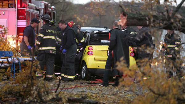 Driver impaled when tree falls on car - In News & Entertainment - Club ...