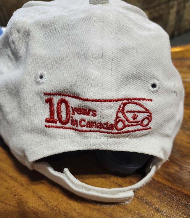 Smart Car Cap (3).jpg